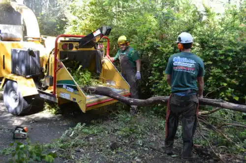 tree services Aguilar